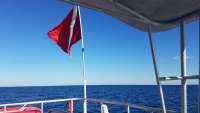 Great day of scuba diving in Key Largo with Rainbow Reef on uscgc duane tropical odyssey 2018 03 16 r5607 1
