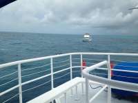 Great day of scuba diving in Key Largo with Rainbow Reef on benwood wreck tropical adventure 2018 05 13 r5962 1