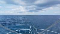 Great day of scuba diving in Key Largo with Rainbow Reef on benwood wreck tropical legend 2018 05 08 r5933 1