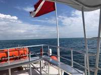 Great day of scuba diving in Key Largo with Rainbow Reef on christmastree cave tropical legend 2018 05 15 r5970 1