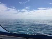 Great day of scuba diving in Key Largo with Rainbow Reef on eagle ray alley tropical adventure 2018 05 14 r5969 1