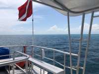 Great day of scuba diving in Key Largo with Rainbow Reef on eagle ray alley tropical odyssey 2018 05 08 r5935 1