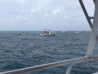 Great day of scuba diving in Key Largo with Rainbow Reef on fire coral cave tropical odyssey 2018 05 24 r5996 1