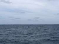 Great day of scuba diving in Key Largo with Rainbow Reef on french reef tropical odyssey 2018 05 11 r5953 1