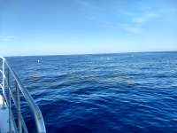 Great day of scuba diving in Key Largo with Rainbow Reef on molasses reef tropical adventure 2018 05 16 r5971 1