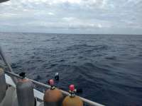 Great day of scuba diving in Key Largo with Rainbow Reef on molasses reef tropical odyssey 2018 05 10 r5946 1