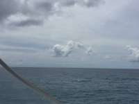 Great day of scuba diving in Key Largo with Rainbow Reef on snapper ledge tropical legend 2018 05 18 r5979 1