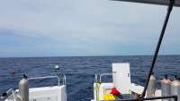 Great day of scuba diving in Key Largo with Rainbow Reef on spiegel grove tropical explorer 2018 05 11 r5950 1