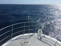 Great day of scuba diving in Key Largo with Rainbow Reef on spiegel grove tropical odyssey 2018 05 09 r5941 1