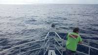 Great day of scuba diving in Key Largo with Rainbow Reef on spiegel grove tropical odyssey 2018 05 18 r5978 1