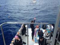 Great day of scuba diving in Key Largo with Rainbow Reef on spiegel grove tropical voyager 2018 05 08 r5932 1