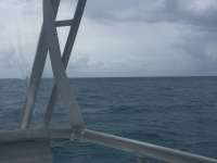 Great day of scuba diving in Key Largo with Rainbow Reef on uscgc duane tropical odyssey 2018 05 25 r6001 1