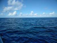 Great day of scuba diving in Key Largo with Rainbow Reef on benwood wreck tropical legend 2018 11 20 r7501 1