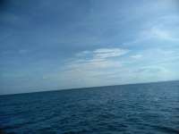 Great day of scuba diving in Key Largo with Rainbow Reef on benwood wreck tropical odyssey 2018 11 03 r7407 1