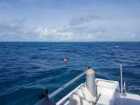Great day of scuba diving in Key Largo with Rainbow Reef on christmastree cave tropical legend 2018 11 04 r7415 1