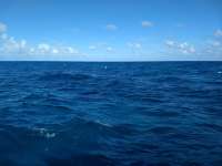 Great day of scuba diving in Key Largo with Rainbow Reef on city of washington tropical odyssey 2018 11 12 r7462 1