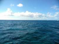Great day of scuba diving in Key Largo with Rainbow Reef on drift molasses tropical serenity 2018 11 15 r7474 1