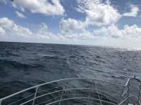 Great day of scuba diving in Key Largo with Rainbow Reef on eagle ray alley tropical legend 2018 11 02 r7402 1