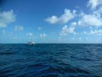 Great day of scuba diving in Key Largo with Rainbow Reef on eagle ray alley tropical legend 2018 11 05 r7421 1