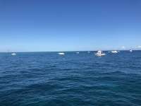 Great day of scuba diving in Key Largo with Rainbow Reef on fire coral cave tropical odyssey 2018 11 10 r7452 1