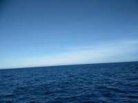 Great day of scuba diving in Key Largo with Rainbow Reef on french reef tropical legend 2018 11 28 r7553 1