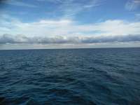 Great day of scuba diving in Key Largo with Rainbow Reef on hole in the wall tropical legend 2018 11 29 r7556 1
