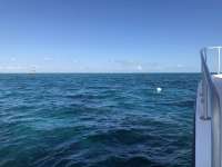 Great day of scuba diving in Key Largo with Rainbow Reef on hole in the wall tropical serenity 2018 11 10 r7445 1