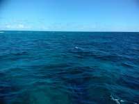 Great day of scuba diving in Key Largo with Rainbow Reef on molasses deep santana 2018 11 25 r7534 1