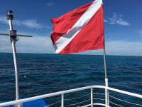 Great day of scuba diving in Key Largo with Rainbow Reef on molasses reef tropical adventure 2018 11 19 r7494 1