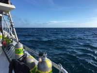 Great day of scuba diving in Key Largo with Rainbow Reef on molasses reef tropical odyssey 2018 11 04 r7418 1