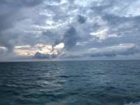 Great day of scuba diving in Key Largo with Rainbow Reef on molasses reef tropical serenity 2018 11 03 r7412 1
