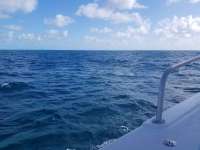 Great day of scuba diving in Key Largo with Rainbow Reef on north star tropical serenity 2018 11 05 r7420 1