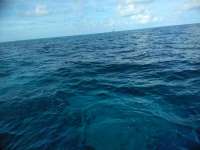 Great day of scuba diving in Key Largo with Rainbow Reef on permit ledges tropical destiny 2018 11 06 r7430 1
