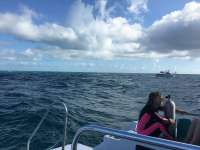 Great day of scuba diving in Key Largo with Rainbow Reef on snapper ledge tropical adventure 2018 11 02 r7401 1