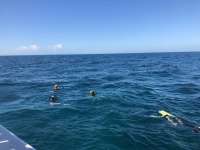 Great day of scuba diving in Key Largo with Rainbow Reef on snapper ledge tropical adventure 2018 11 23 r7513 1