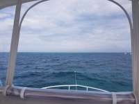 Great day of scuba diving in Key Largo with Rainbow Reef on snapper ledge tropical destiny 2018 11 03 r7409 1