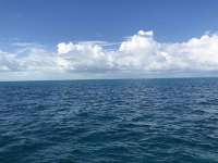 Great day of scuba diving in Key Largo with Rainbow Reef on snapper ledge tropical legend 2018 11 11 r7459 1
