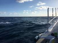Great day of scuba diving in Key Largo with Rainbow Reef on spiegel grove tropical odyssey 2018 11 01 r7394 1