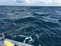 Great day of scuba diving in Key Largo with Rainbow Reef on spiegel grove tropical odyssey 2018 11 04 r7416 1