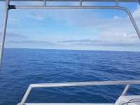 Great day of scuba diving in Key Largo with Rainbow Reef on spiegel grove tropical odyssey 2018 11 25 r7533 1