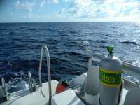Great day of scuba diving in Key Largo with Rainbow Reef on uscgc duane tropical destiny 2018 11 11 r7455 1