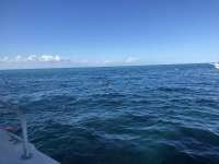 Great day of scuba diving in Key Largo with Rainbow Reef on winch hole santana 2018 11 10 r7449 1