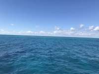 Great day of scuba diving in Key Largo with Rainbow Reef on christmastree cave tropical odyssey 2018 10 26 r7352 1