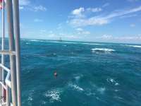 Great day of scuba diving in Key Largo with Rainbow Reef on eagle ray alley tropical legend 2018 10 06 r7236 1