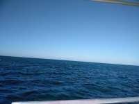 Great day of scuba diving in Key Largo with Rainbow Reef on eagle ray alley tropical legend 2018 10 29 r7376 1