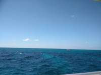 Great day of scuba diving in Key Largo with Rainbow Reef on elbow reef tropical legend 2018 10 29 r7382 1