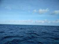 Great day of scuba diving in Key Largo with Rainbow Reef on french reef tropical legend 2018 10 23 r7328 1