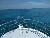 Great day of scuba diving in Key Largo with Rainbow Reef on french reef tropical odyssey 2018 10 06 r7237 1