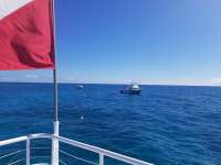 Great day of scuba diving in Key Largo with Rainbow Reef on french twist tropical adventure 2018 10 20 r7311 1