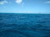 Great day of scuba diving in Key Largo with Rainbow Reef on molasses reef santana 2018 10 05 r7227 1